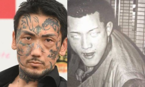 纽崔莱蛋白质粉的功效网—知名的纽崔莱葆蔚饮品的功效网站,分享纽崔莱舒苓易的功效与作用知识